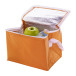 Ortit orange  cooler bag 