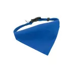 Rex bleu  collier pour chien 