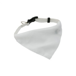 Rex white  dog's collar 