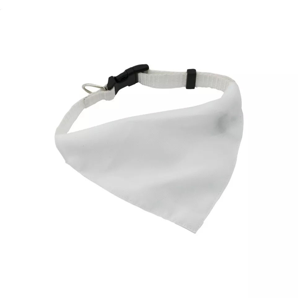 Rex white  dog's collar 