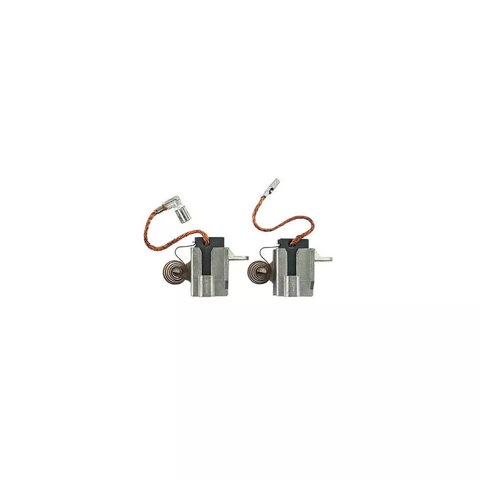 Paar Festool borstels voor RO-150-FEQ...