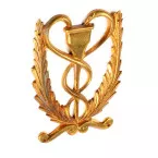 EMPIRE OB243 Polished Brass Decorative Plate 130x90mm per Piece