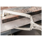 Zwanenhals lastang met...