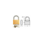 Amig Brass Padlock Single...
