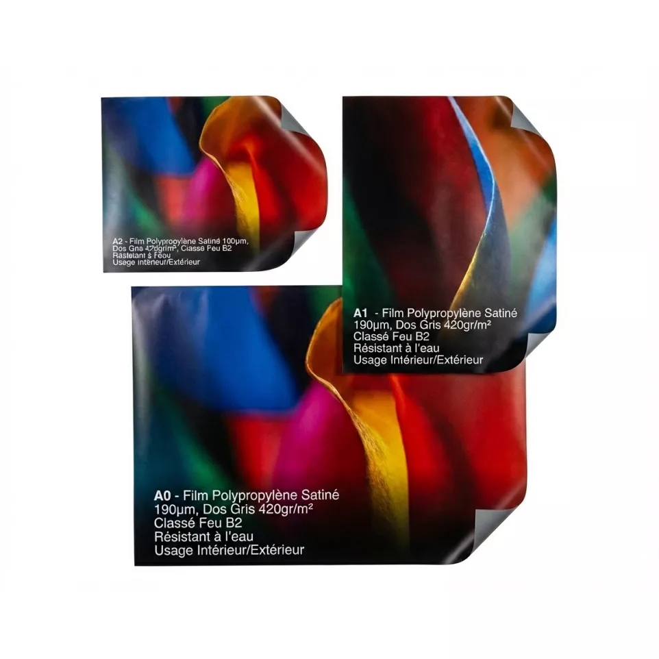 Standard size poster