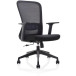 Chaise de bureau ergonomique, base en plastique, noir, paquet de 2 chaises