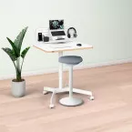 Leitz Ergo Station de travail Mobile, set avec organisateur et tabouret