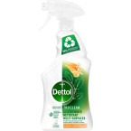 Dettol nettoyant...