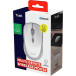Trust YVI+ draadloze muis, multi-device, wit