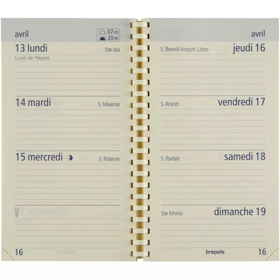 Brepols Optivision French Desk Diary...