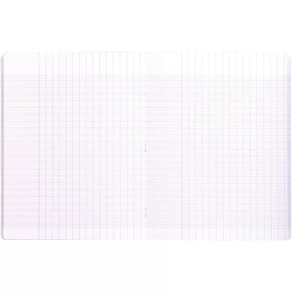 Clairefontaine schrift Mimesys voor...