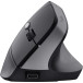 Trust Bayo II draadloze ergonomische muis, voor rechtshandigen
