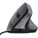 Trust Bayo II souris ergonomique, pour droitiers