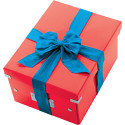 Leitz WOW opbergdoos Click & Store, ft M, rood