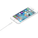 Apple kabel, Lightning (8-pin) naar USB-A, 1 m, wit