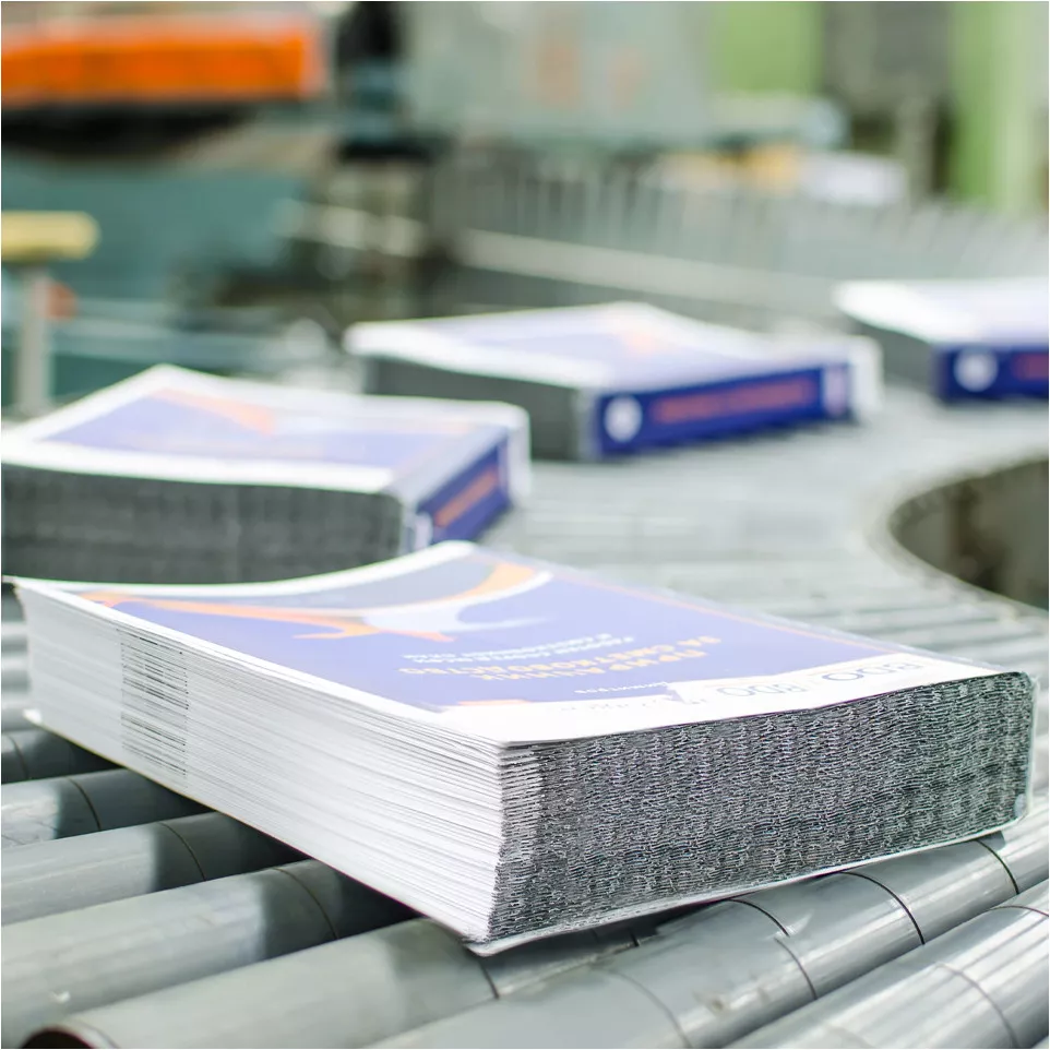 Flyers A5 double-sided 14,8 x 21 cm