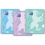 Oxford School Notebook A4+, 80 Ruled Sheets, Pack of 3, Assorted Colors