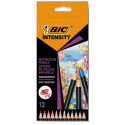 Bic crayon aquarelle Intensity, étui de 12 pièces