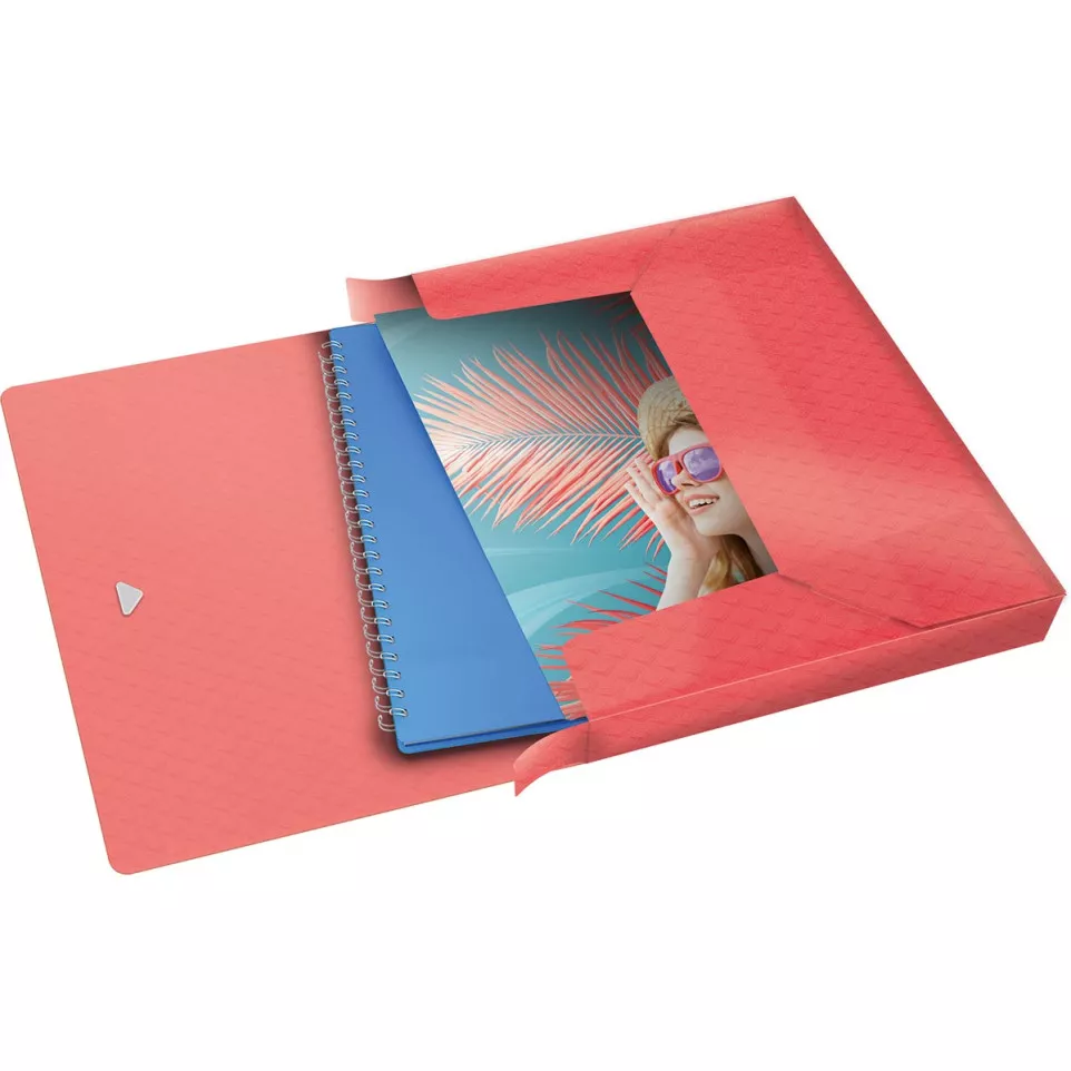 Esselte Colour'Breeze elastobox, ft...