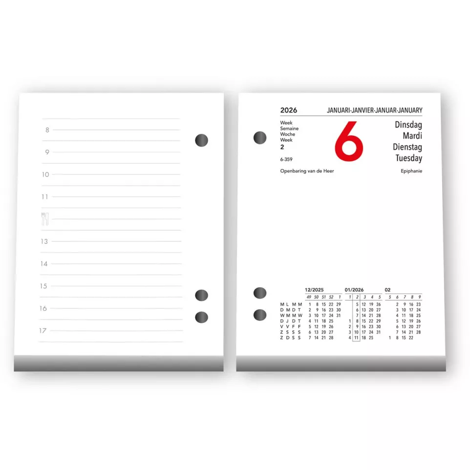 Aurora Tear-off Daily Calendar 2026