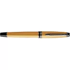 Waterman Expert Fountain Pen Gold Trim