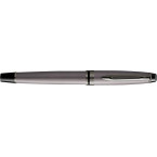 Waterman Expert stylo...