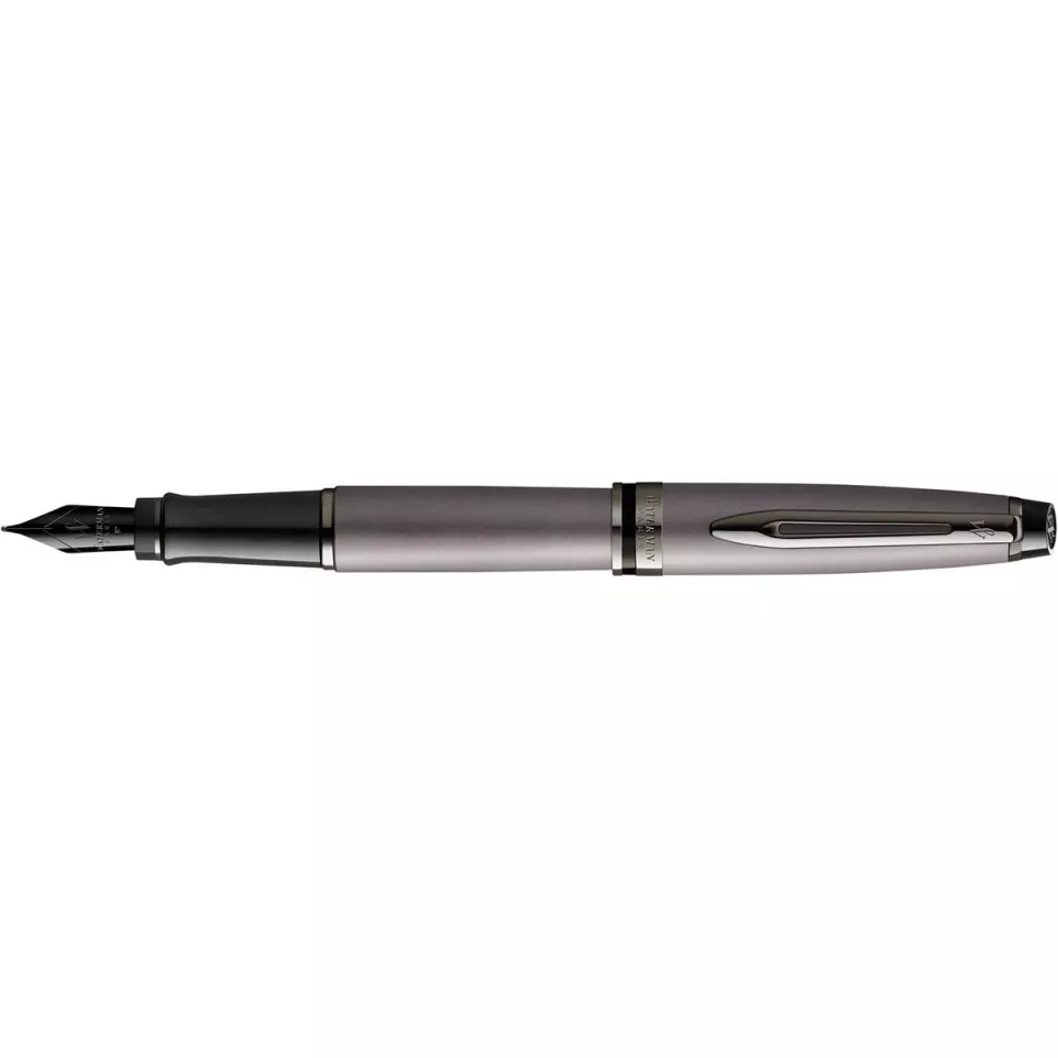 Waterman Expert stylo plume, Metallic...