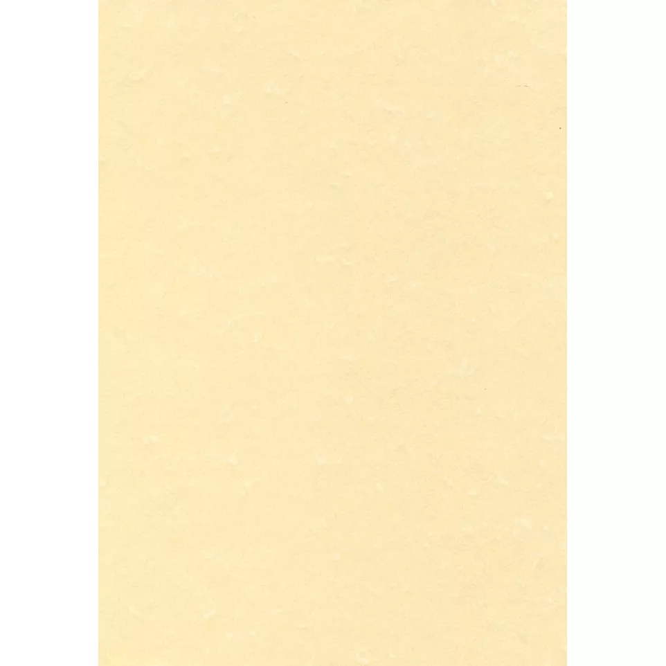 Decadry papier à structure champagne,...