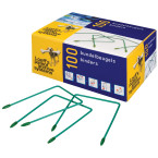 Loeff's bundelbeugel...