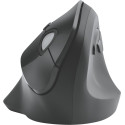 Kensington Pro Fit Ergo Vertical Wireless Mouse