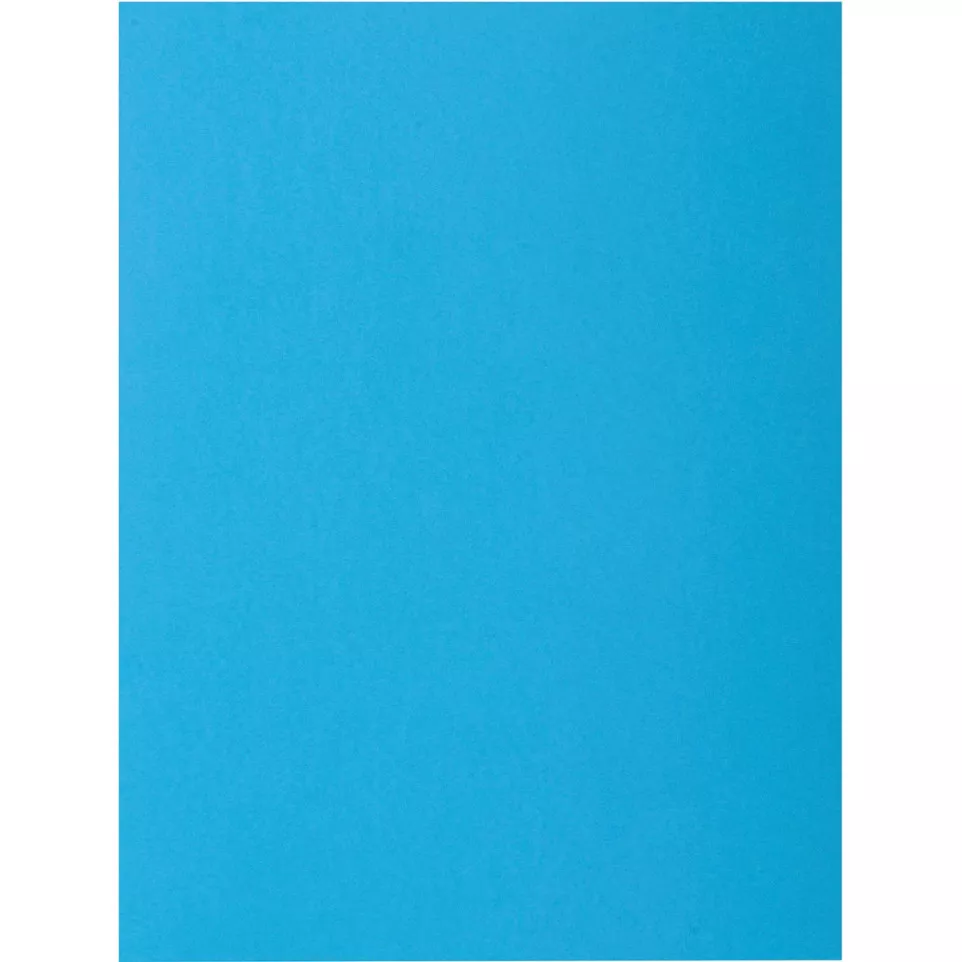 Exacompta Rock's 80 dossiermap, ft 22...