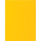 Exacompta chemise de...