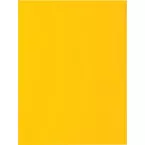 Exacompta Rock's 80 Cardboard File Folder 22 x 31 cm Pack of 100 Yellow