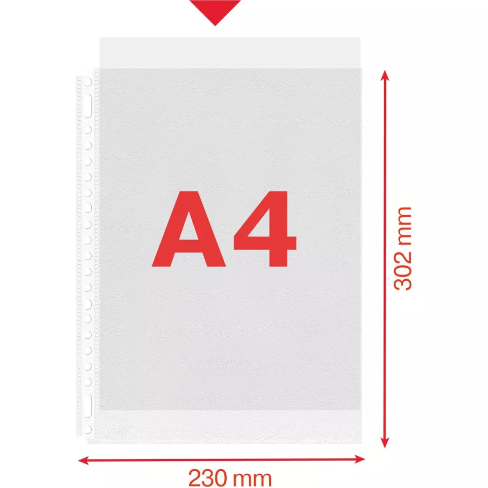 Esselte Quality A4 Punched Pockets...