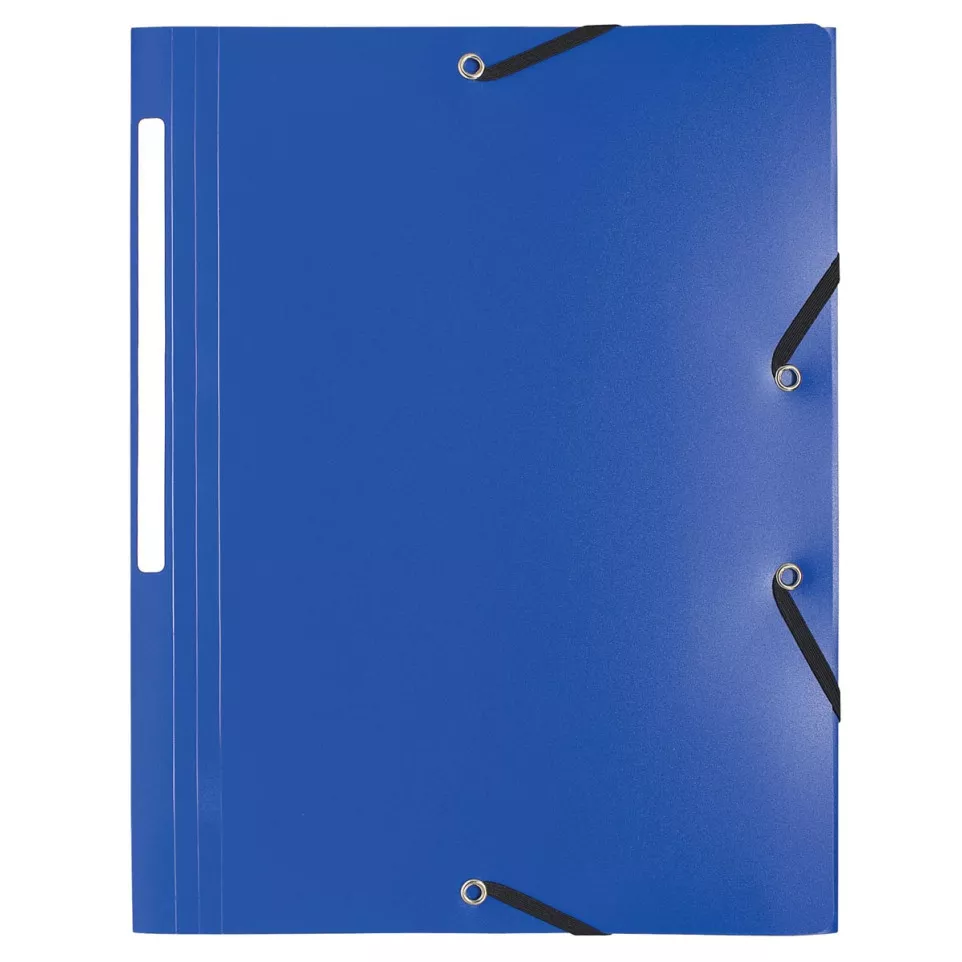 Exacompta elastomap A4, uit PP, 3...