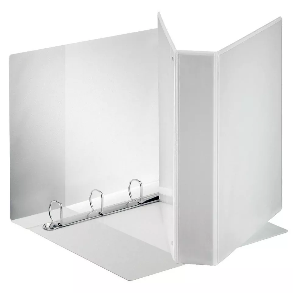 Esselte Customizable PP Binder for A4...