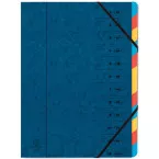 Exacompta 12 Compartment File Sorter, Blue