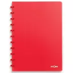Atoma Trendy A4 Notebook, 144 Pages, 5 mm Grid, Transparent Red Polypropylene Cover