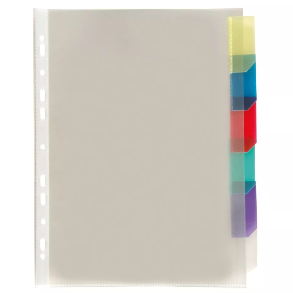 Viquel pochette perforée 6 onglets