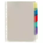 Viquel 6-Tab Punched Folder