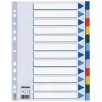 Esselte 12 Tab Dividers