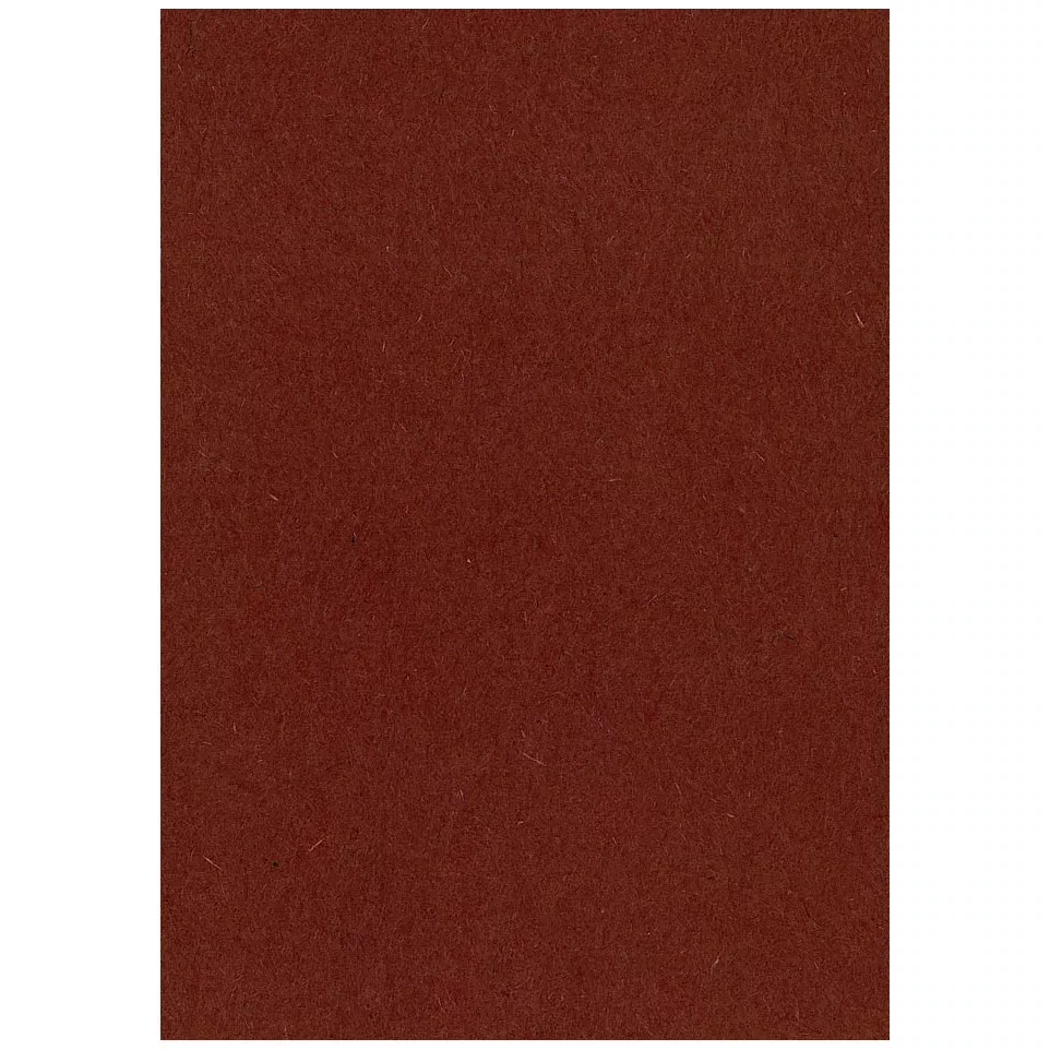 Papier à dessin coloré, 120 g, ft 21...