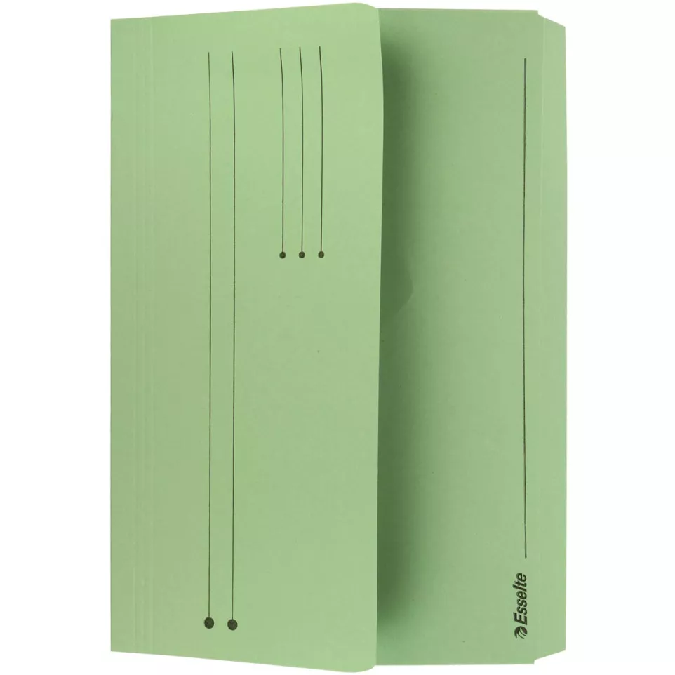 Esselte Pocket File Green
