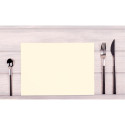 Barquette de 100 sets de table spundbond, unis - Format 30x40cm/ Pce