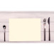 Barquette de 100 sets de table spundbond, unis - Format 30x40cm/ Pce