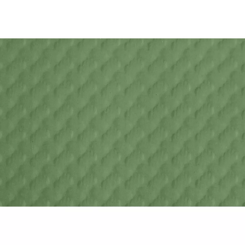 Barquette de 500 sets de table papier...