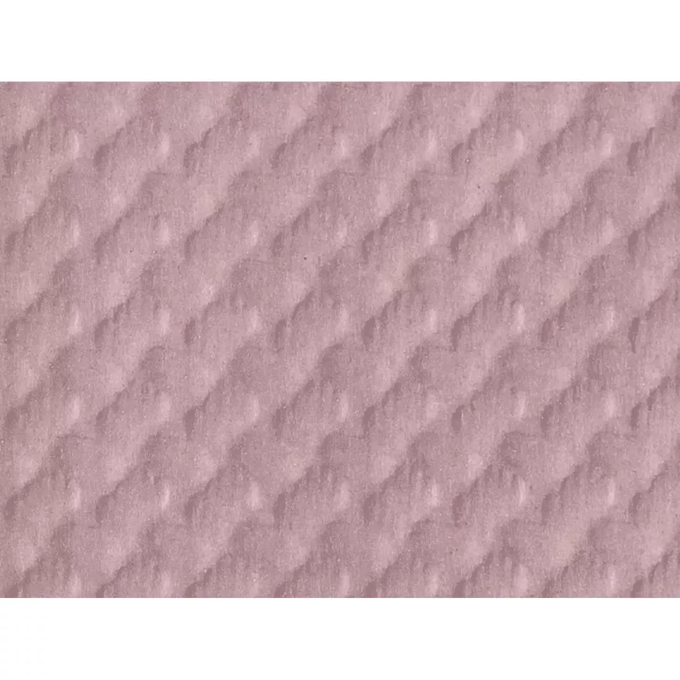 Barquette de 500 sets de table papier...