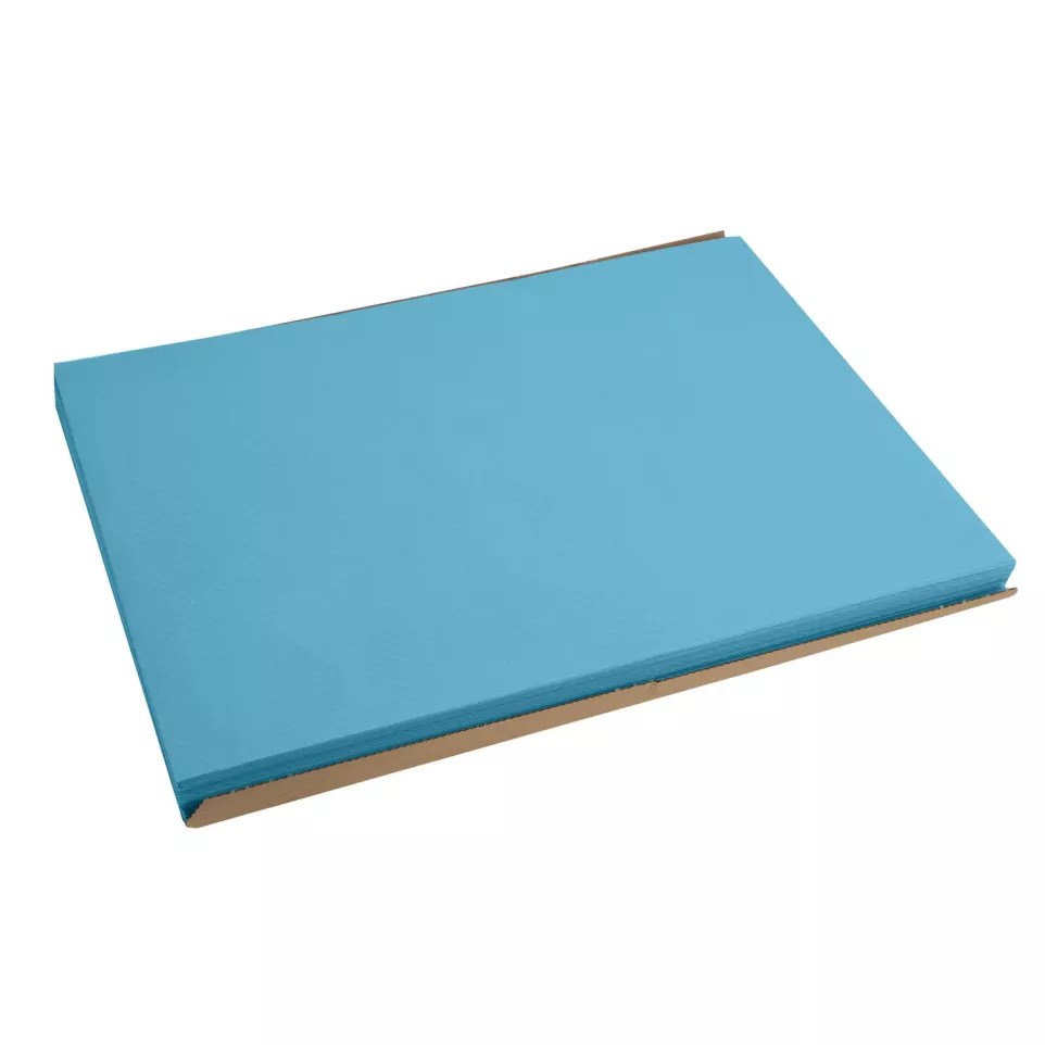 Barquette de 500 sets de table papier...