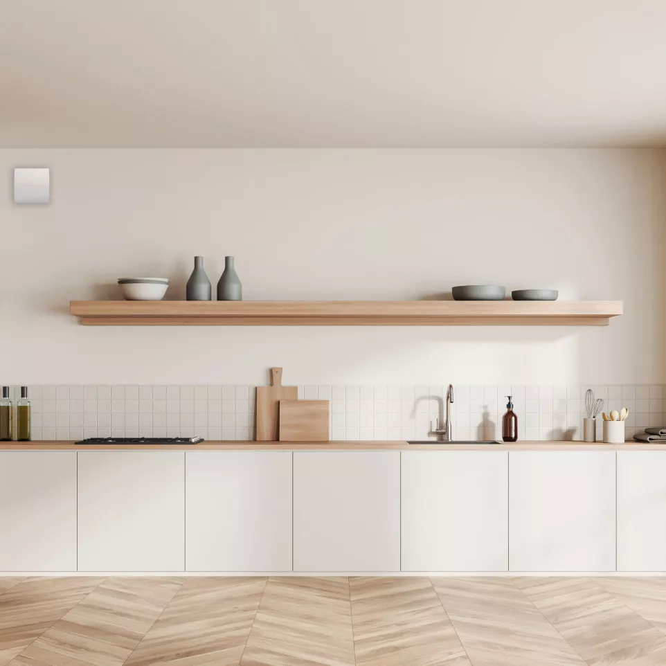 extracteur perm PEB INEA expert 100 H...