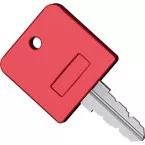 Disassembly Key for SUPRA and ROBUSTUS Interchangeable Internal Cylinder / pc